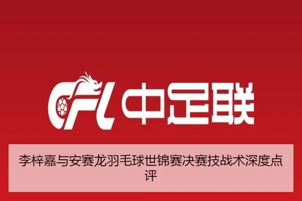 李梓嘉与安赛龙羽毛球世锦赛决赛技战术深度点评