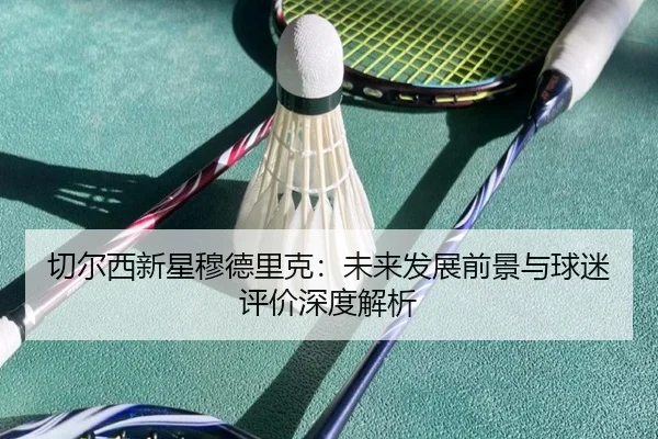 切尔西新星穆德里克：未来发展前景与球迷评价深度解析